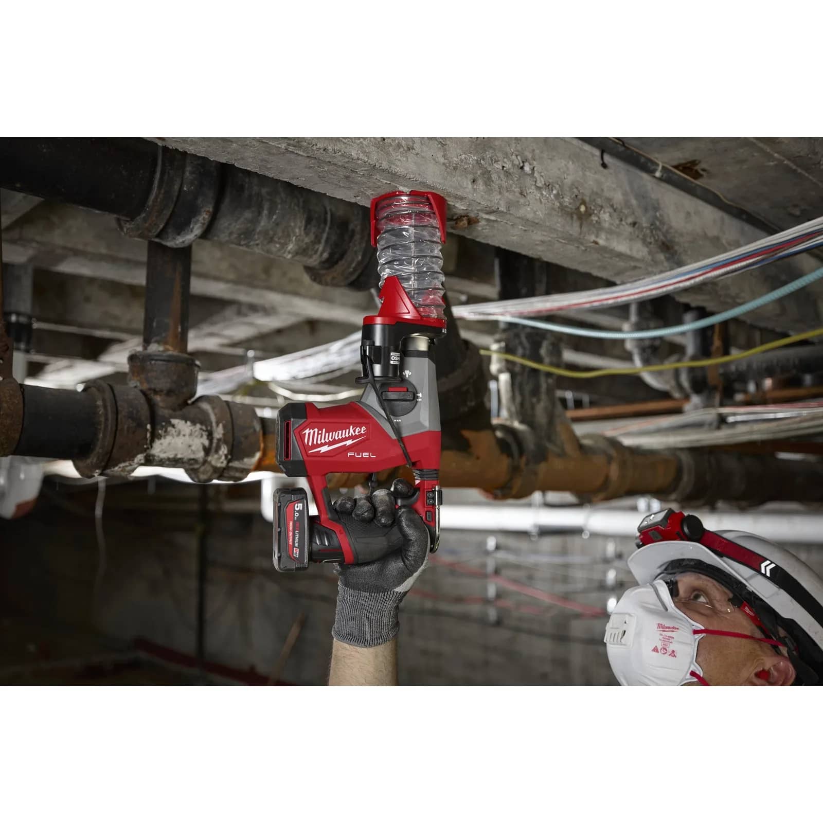 Miniatură 4