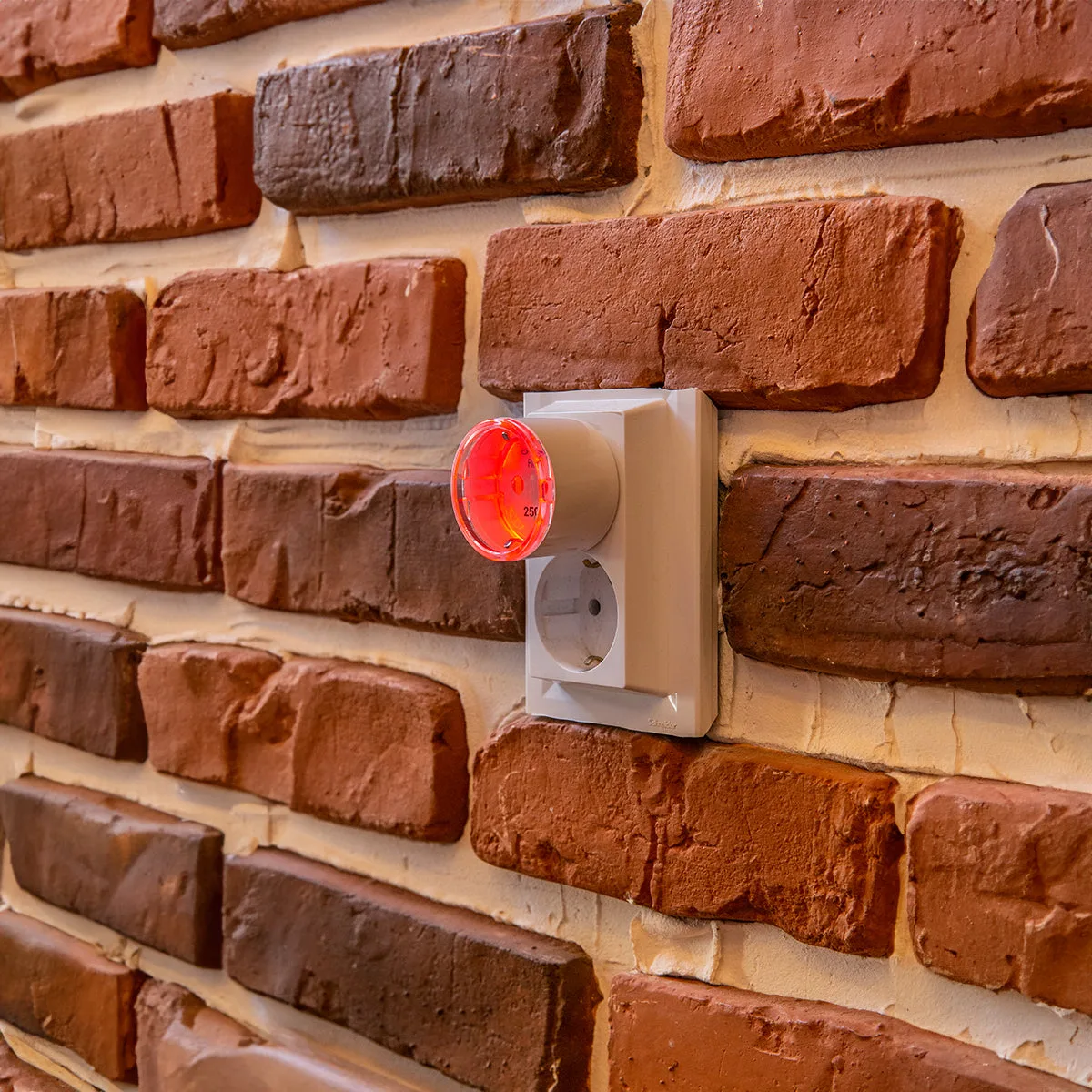 Miniatură 4
