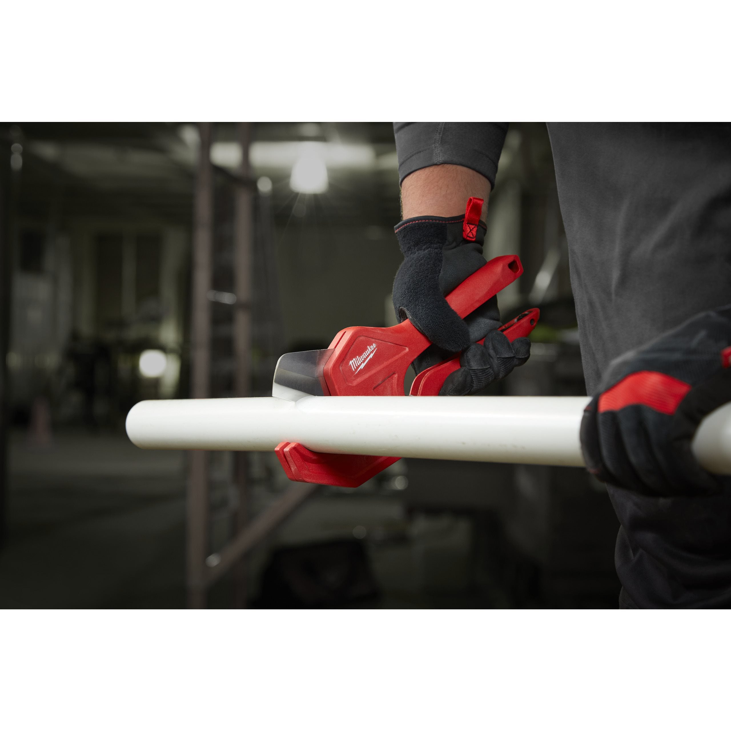Miniatură 3